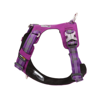 True Love Lightweight Reflective Harness - Purple, M-1831155640601546755