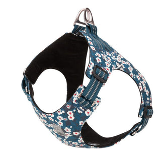 True Love Floral Doggy Harness - Blue, XL-1831155625221033984