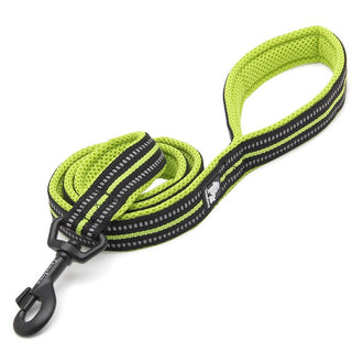 True Love Reflective Pet Leash 2m - Yellow, S-1831155644942651393