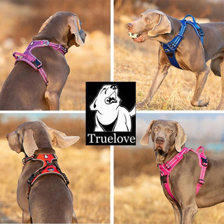 True Love No Pull Explosion Proof Dog Harness - Royal Blue, XS-1831155630652657666