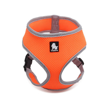 Dog Harness with Steel D Ring - Orange, M-1831155622507319296