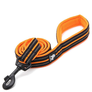 True Love Reflective Pet Leash 2m - Orange, XS-1831155644334477312