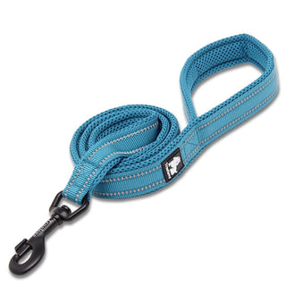 True Love Reflective Pet Leash 2m - Blue, L-1831155645659877376