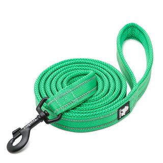 True Love Reflective Pet Leash 2m - Green, XS-1831155647241129984