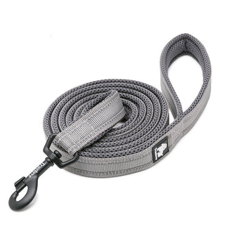 True Love Reflective Pet Leash 2m - Grey, XS-1831155646771367937