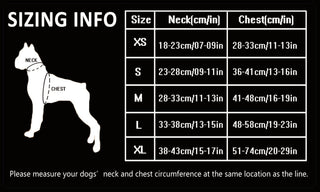 Dog Harness with Steel D Ring - Black, XS-1831155619277705218