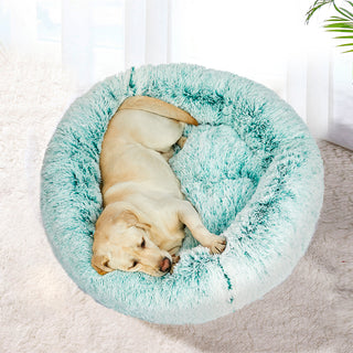 PaWz Pet Bed Cat Dog Donut Nest Calming M Teal Medium-1831593112082976774