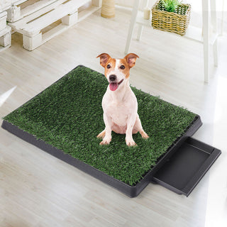 PaWz Indoor Dog Pet Grass Potty Training-1831593099290349569