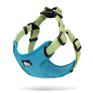 True Love Urban Dog Harness - Green, M-1831155636138807296