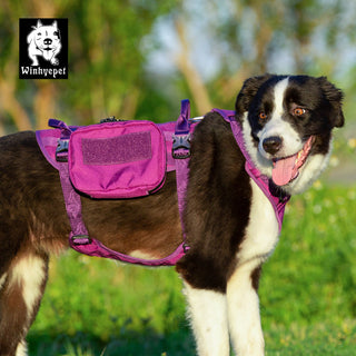 Whinhyepet Military Harness - Purple, XL-1831155663666024451