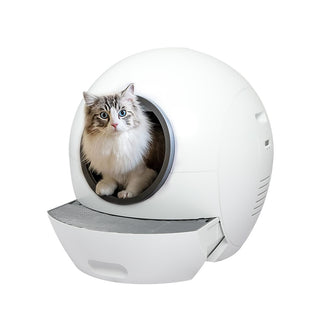 PaWz Automatic Smart Robot Cat Litter-1831593141355024384