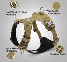 True Love Lightweight Dog Harness - Green, L-1831155639137734657