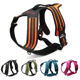 True Love Heavy Duty Sports Dog Harness - Blue, L-1831155626873589761